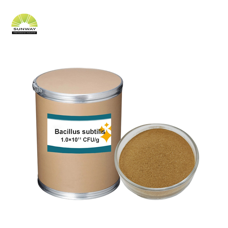 Tierfutterzusatzstoffe 100 Milliarden 150 Milliarden 200 Milliarden Bacillus Subtilis Pulver