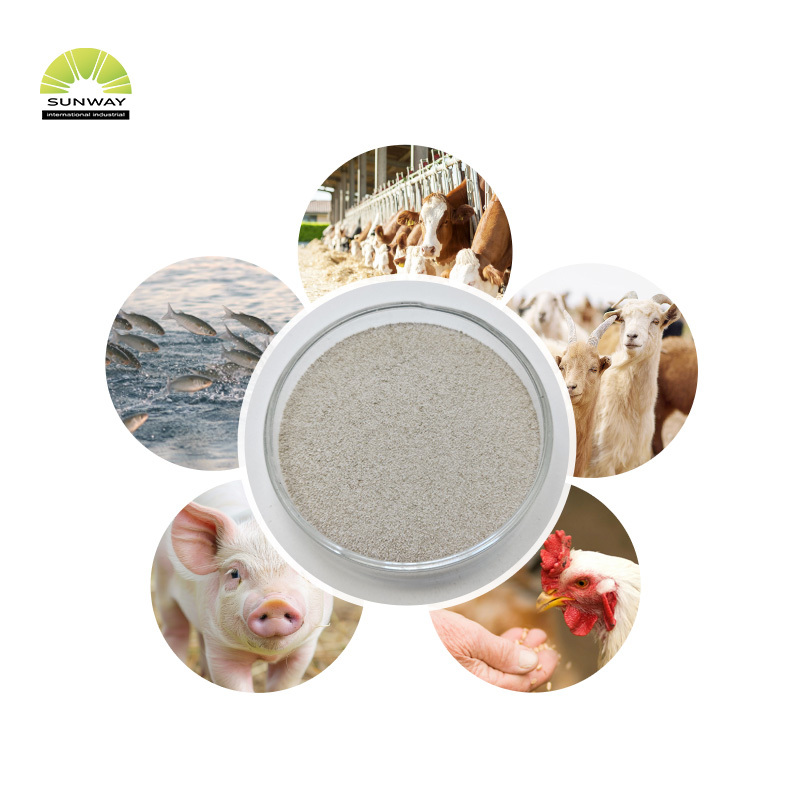 Phytase-Enzym in Futtermittelqualität für Geflügel, säurestabiles Phytase-Pulver, Phytase 5000 und 10000, erhältlich