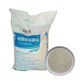 L-Lysin Lysin Futterqualität Geflügel 25 kg Beutel HCL 98,5 % CAS-Nr. 657-27-2