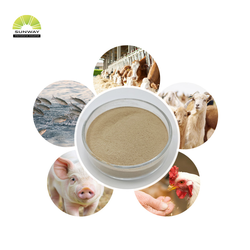 Futtermittelzusatzstoffe, 25-kg-Beutel, 50.000 Einheiten/g Beta-Dextranase-Enzympulver zur Stärkung der Immunität