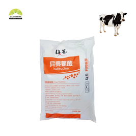 Aminosäure Isoleucin in Futtermittelqualität 99 %