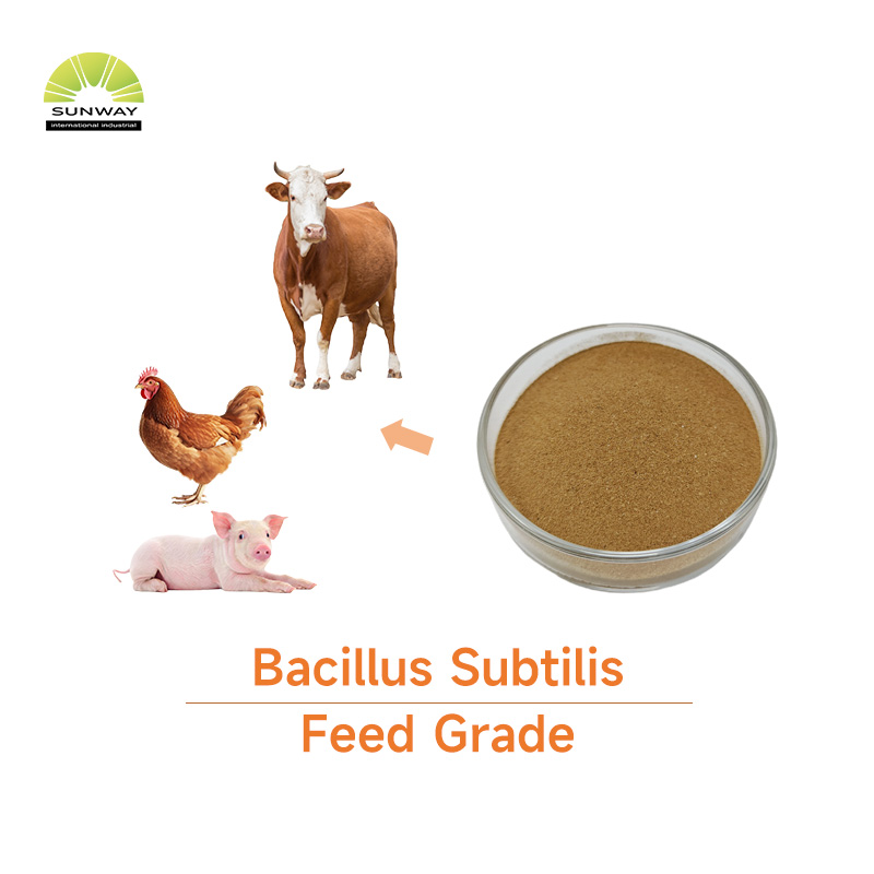 Tierfutterzusatzstoffe 100 Milliarden 150 Milliarden 200 Milliarden Bacillus Subtilis Pulver