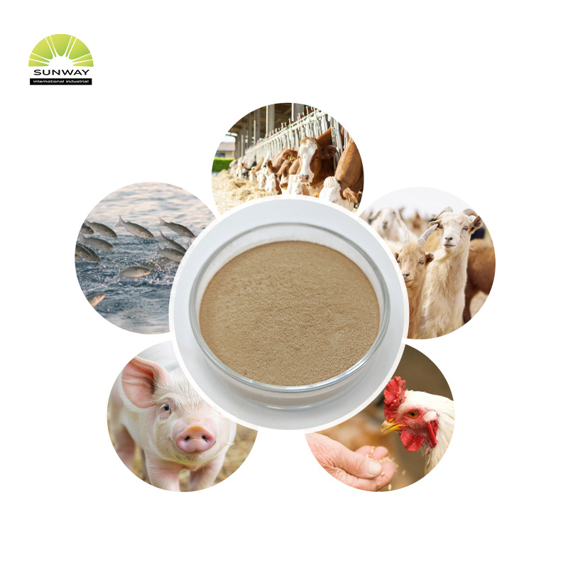 Hochwertiges thermostabiles Alpha-Amylase-Enzympulver zum Preis