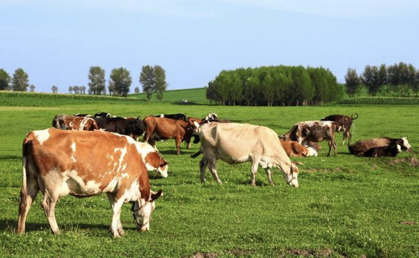 73332AAA8-D4A-494C-B699-57A4559078B9