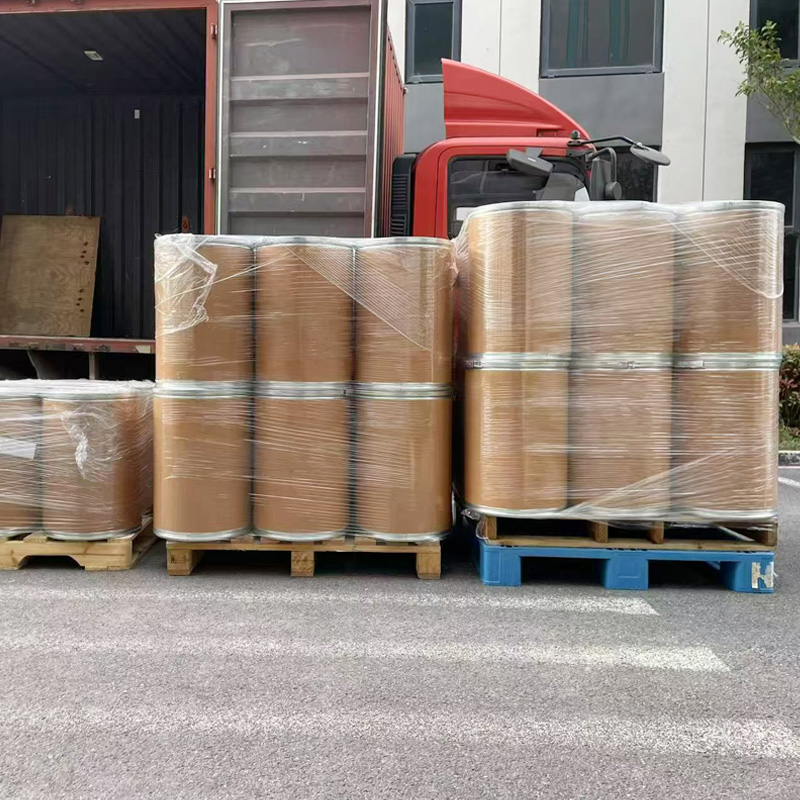 Probiotisches Bacillus Coagulans-Pulver in Futtermittelqualität für Geflügel