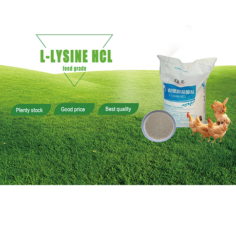 Bester Preis L Lysin HCl für Geflügelzusatzstoff 98,5% Futtergrad L-Lysin